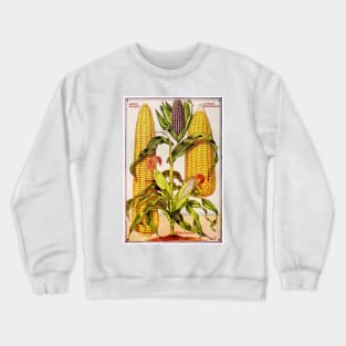 Illustration of corn from a seed Catalogue Crewneck Sweatshirt